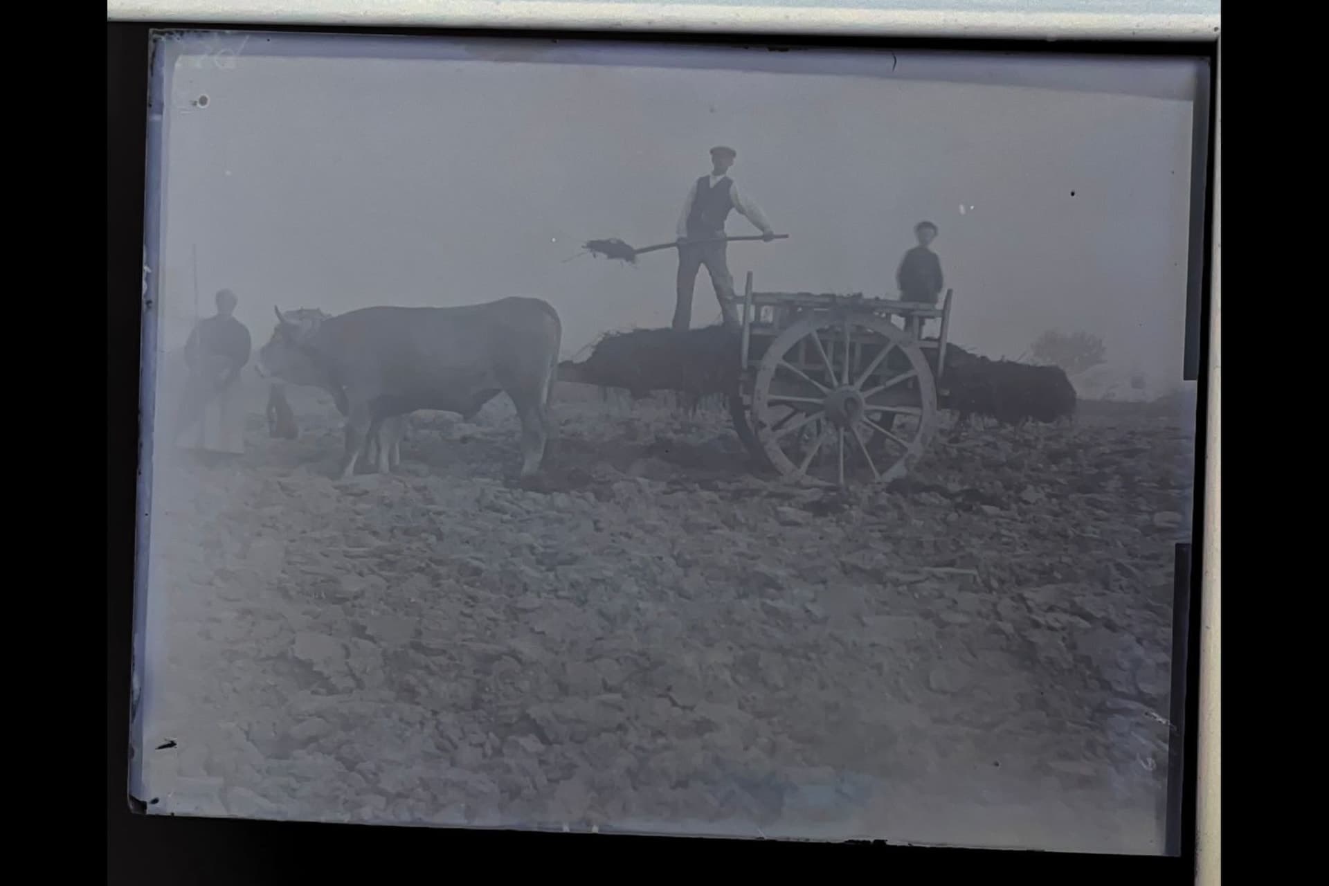 Current Photo: IMG_9617